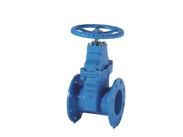 BS5163 PN25 Type-B Resilient Seat Gate Valve