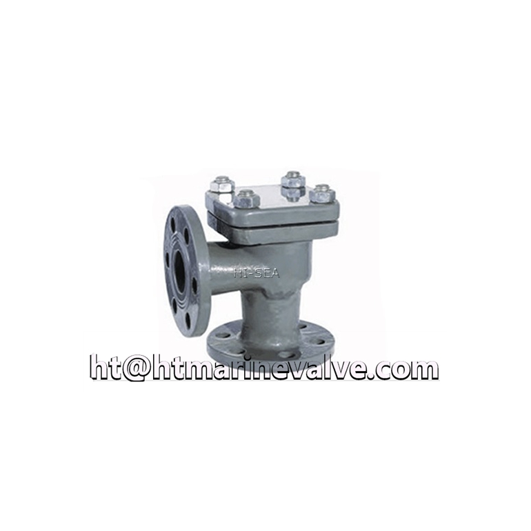 Marine DIN Cast Steel Angle Check Valve