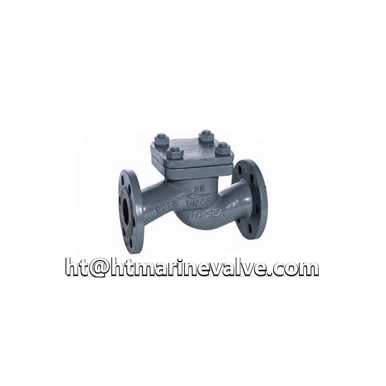 Marine DIN Cast Steel Check Valve