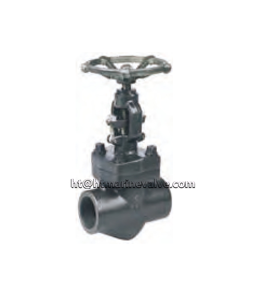 Forged Steel Globe Valve CL800