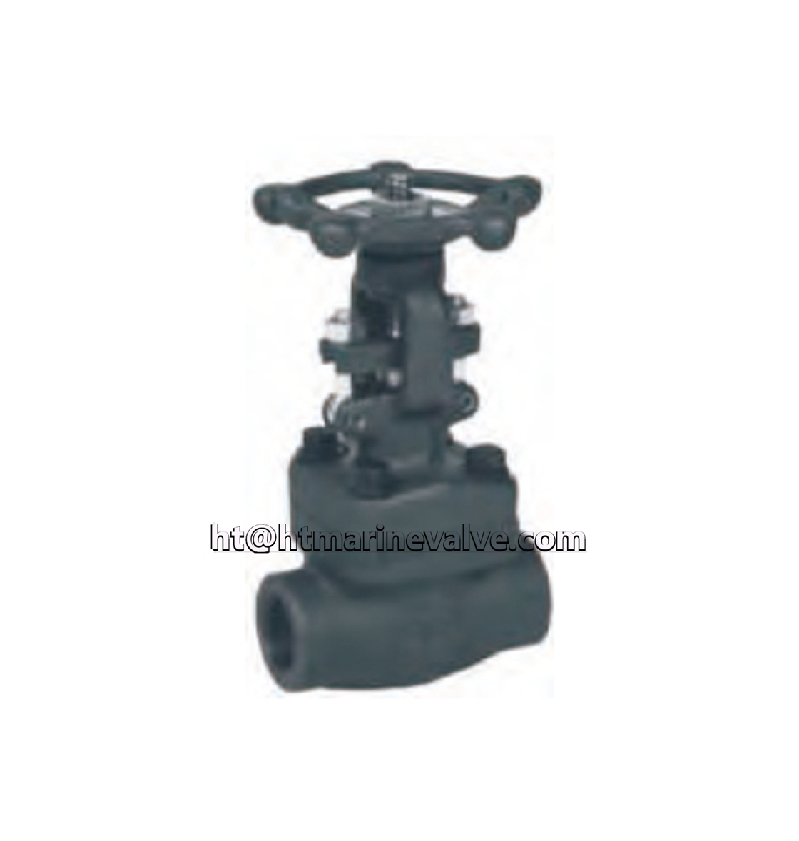 FORGED STEEL GATE VALVE CL800