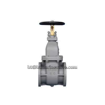 JIS F7363C 5K Cast steel gate valve 