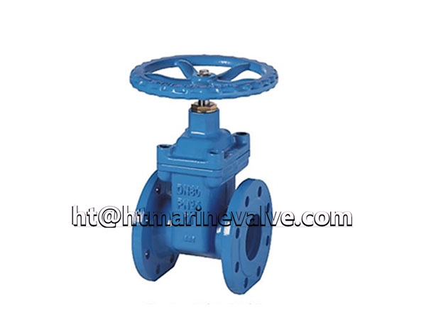 BS5163 PN25 Type-A Resilient Seat Gate Valve