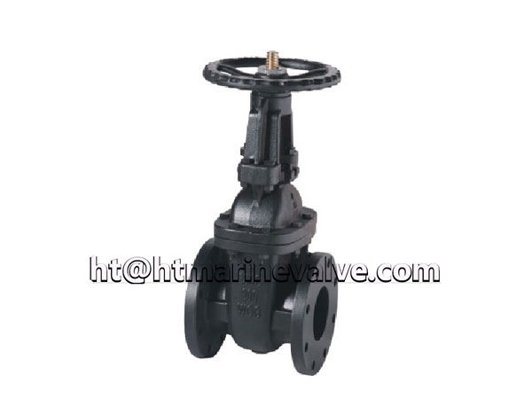 MSS SP-70 Class 125 OS&Y Cast Iron Gate Valve