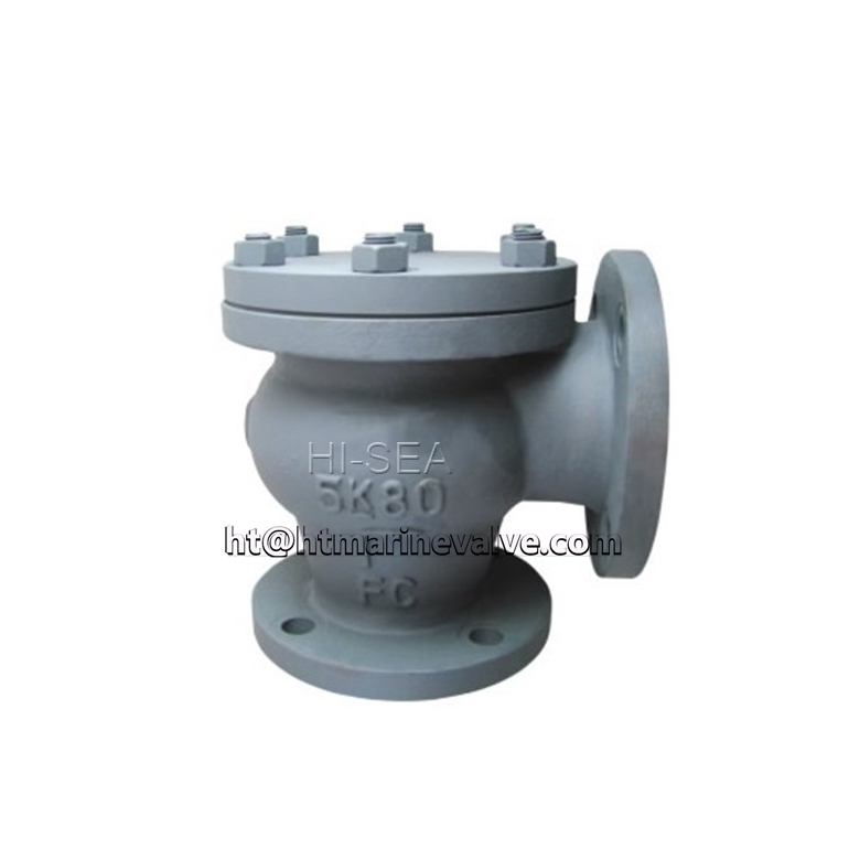 JIS F7359 Cast rion 5K lift check angle valve